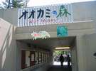 旭山動物園・オオカミの森入り口