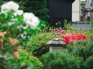 【HAPPOYA】日本庭園