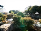 【HAPPOYA】日本庭園