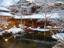 �L�N���@�~�i�F