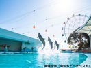 南知多ビーチランド ショー