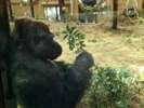 京都市動物園