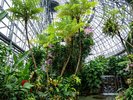 【当館から約90分】熱帯ドリームセンターの中には、人間が乗れる水草が…!