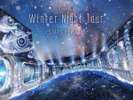 ☆Winter Night Tour