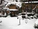 雪景色1