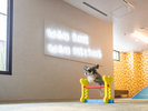 スラロームや遊べるグッズで doggy が自由にストレス発散。