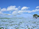�����c�Ђ����C�l�����y�t�z�l���t�B��4�����{�`5�����{