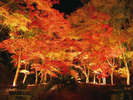 秋は松雲山荘の紅葉ライトアップ♪