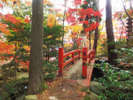 【松雲山荘】10月から11月にかけては赤く色づいたモミジやドウダンツツジが見頃です
