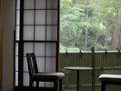 みずみずしい緑を眺めながらほっと一息。(本館8畳和室より)