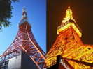東京観光の定番 東京タワーの展望台