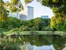 浜離宮恩賜庭園 徒歩10分