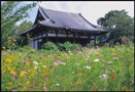 般若寺 写真提供:奈良市観光協会
