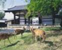 東大寺転害門 写真提供:奈良市観光協会