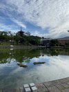 猿沢池・徒歩15分ほどのところにあります。
