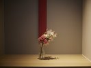 随所に季節のあしらい┃五感で味わえる四季折々のおもてなしで、皆様をお迎えいたします
