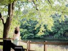 観光イメージ(柿田川湧水公園)