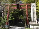 趣のある「来宮神社」参道。パワースポットと言われています。