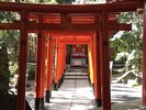 パワースポットと言われている「来宮神社」。来福・縁起の神様として信仰されています。