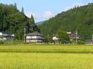 田園の中