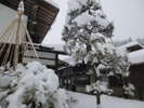 雪吊り