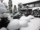 雪化粧