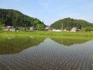 水田からの宿