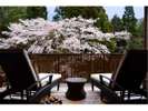 ■お部屋からの桜■