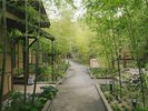 【外観】耳を澄ませば、風の音、草木の揺れる音が聞こえる静寂の庵