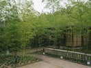 【外観】耳を澄ませば、風の音、草木の揺れる音が聞こえる静寂の庵