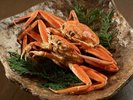 【夕餉 冬】漁期に水揚げされた活勢子に急速冷凍をかけて休ませた眠り勢子