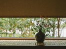 【1日五組様 一棟貸し】和室には季節の花を添えて皆様をお迎えします