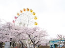 ◆八戸公園