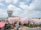◆舘鼻公園