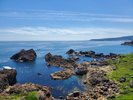◆種差海岸