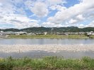 客室からの景色