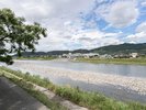 客室からの景色