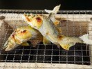 旬を香ばしさと共にを味わう「落ち鮎炭焼きと焼き」