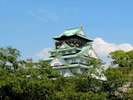 新緑と大阪城