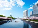ホテル外観と桜クルーズ(イメージ)