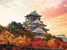 大阪城の紅葉を見にお出かけください