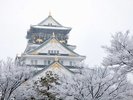 大阪城冬景色(イメージ)
