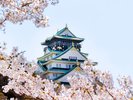 大阪城と桜(イメージ)