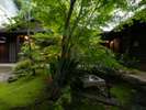 温泉棟の苔庭