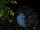 【坪庭】木々のゆらめきと心地良い水の音