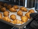 �Ă����ăN�����b�T�������Ђ��ܖ���������