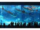 【海洋博公園・沖縄美ら海水族館】