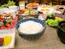 ご飯がすすみます!!