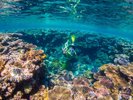 【バラス島】石垣島から行ける離島です★