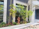 ホテルエントランス植栽
